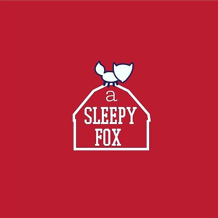 A Sleepy Fox Hostel New Delhi Ngoại thất bức ảnh