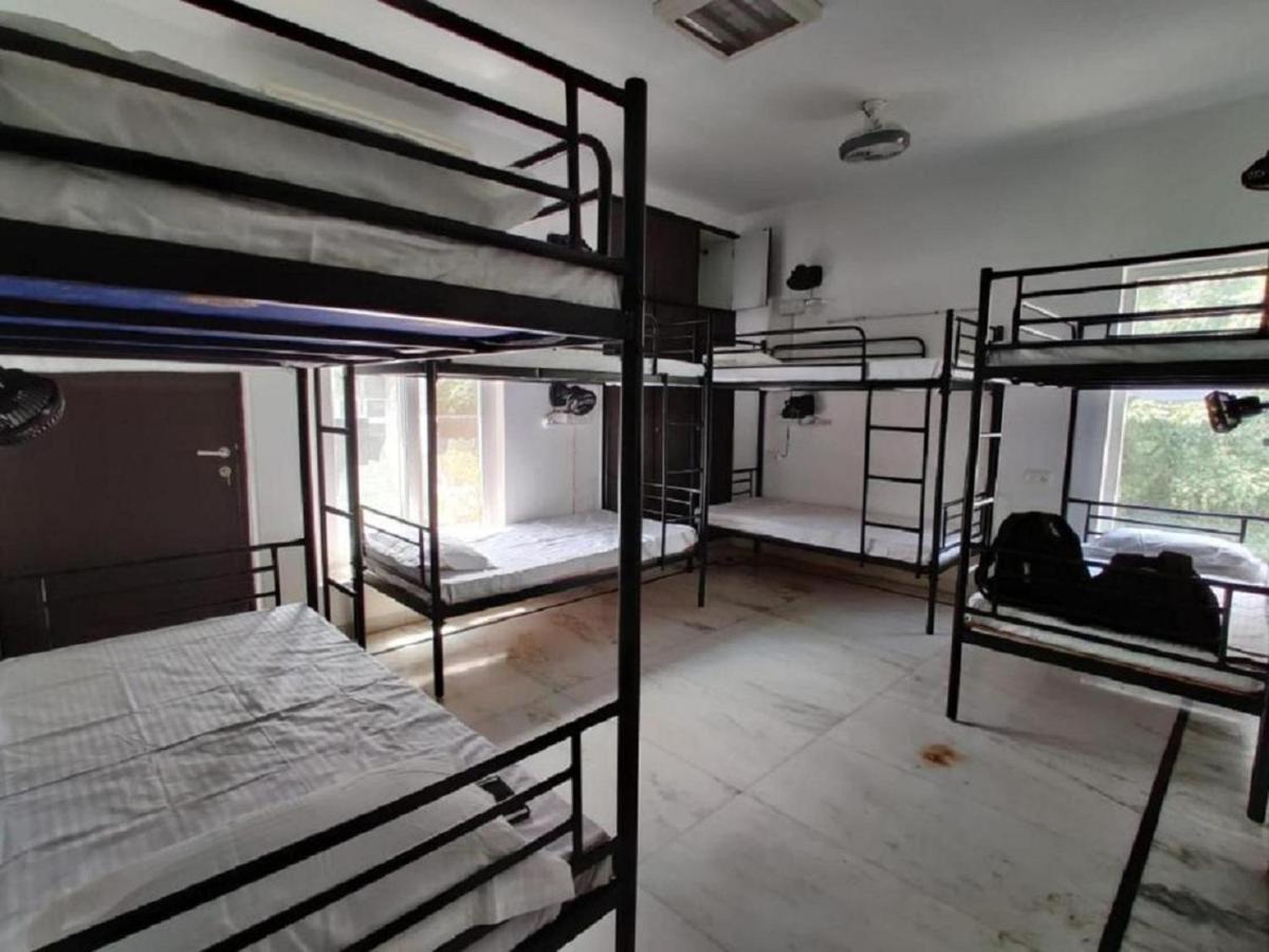 A Sleepy Fox Hostel New Delhi Ngoại thất bức ảnh