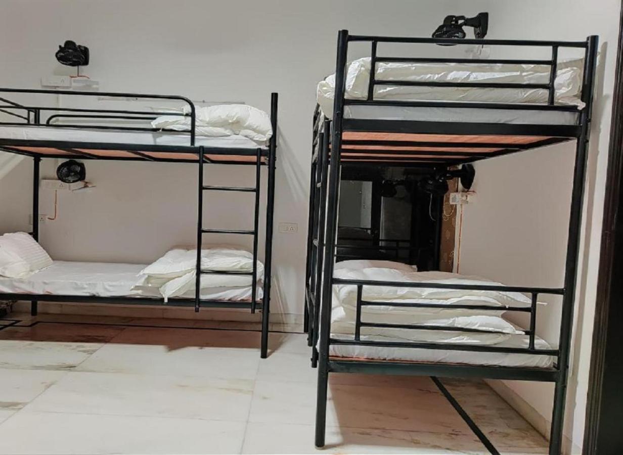 A Sleepy Fox Hostel New Delhi Ngoại thất bức ảnh