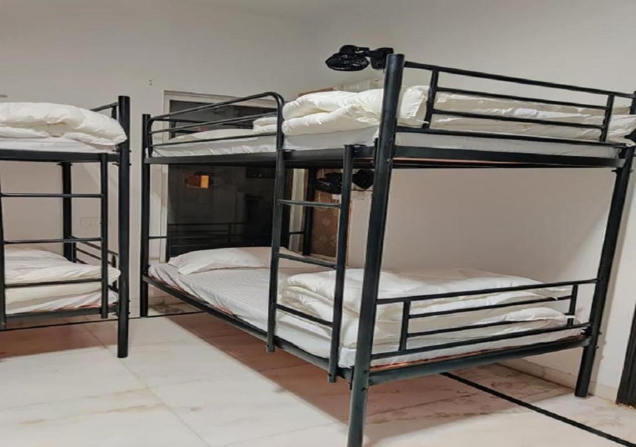 A Sleepy Fox Hostel New Delhi Ngoại thất bức ảnh