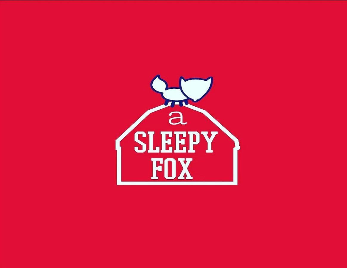 A Sleepy Fox Hostel New Delhi Ngoại thất bức ảnh
