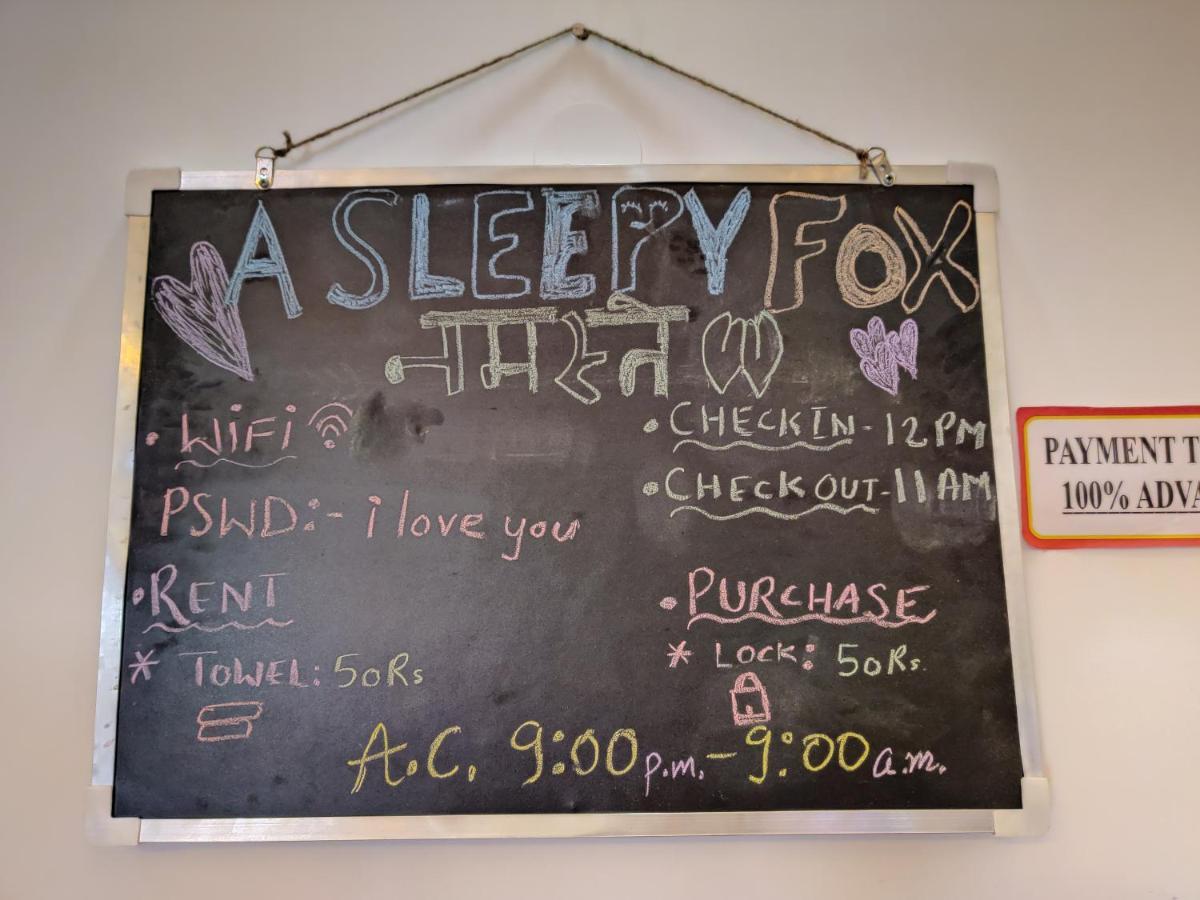 A Sleepy Fox Hostel New Delhi Ngoại thất bức ảnh