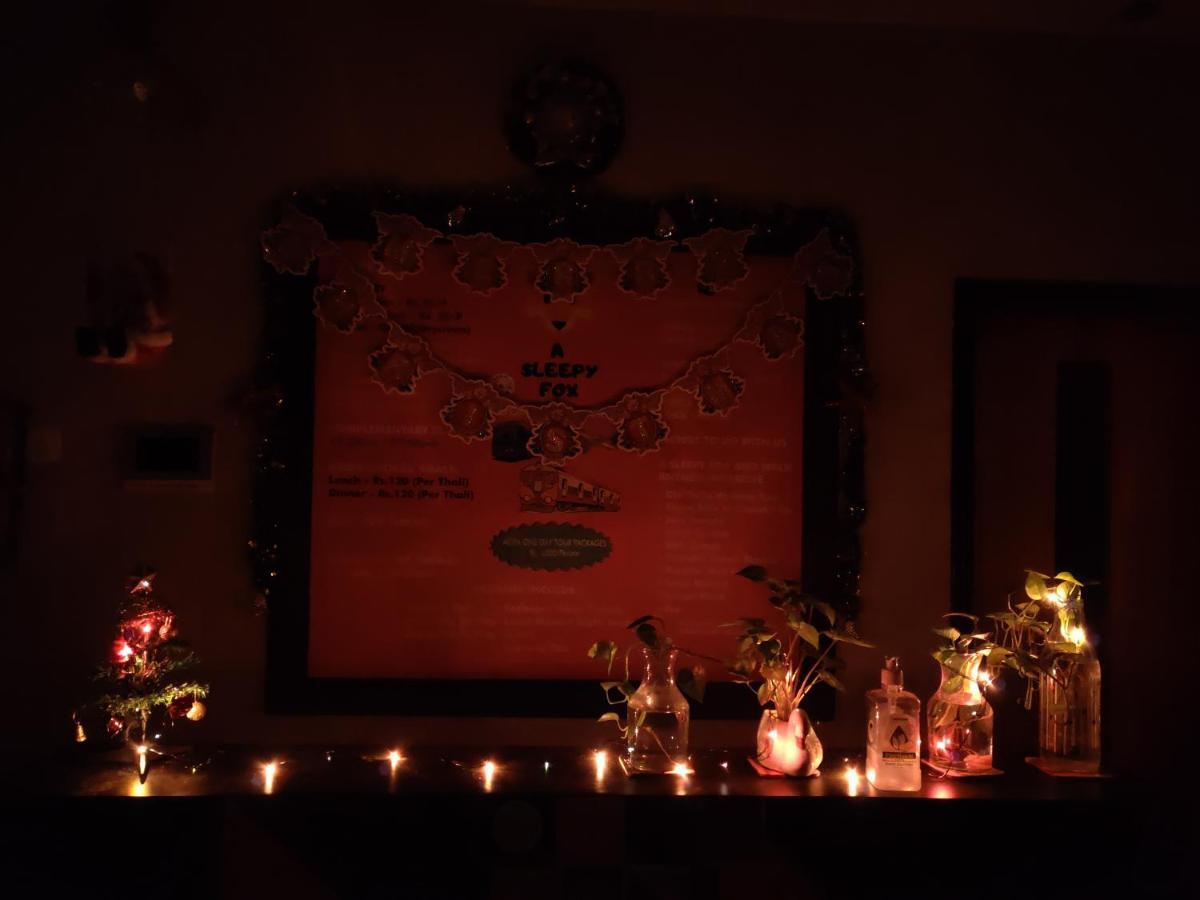 A Sleepy Fox Hostel New Delhi Ngoại thất bức ảnh